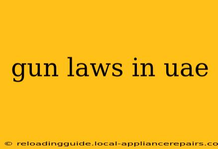 gun laws in uae