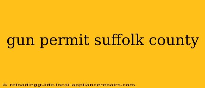 gun permit suffolk county