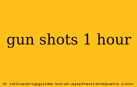 gun shots 1 hour