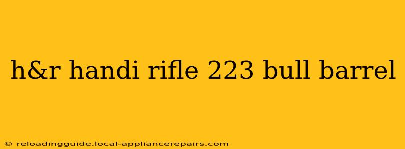 h&r handi rifle 223 bull barrel