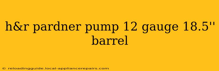 h&r pardner pump 12 gauge 18.5'' barrel