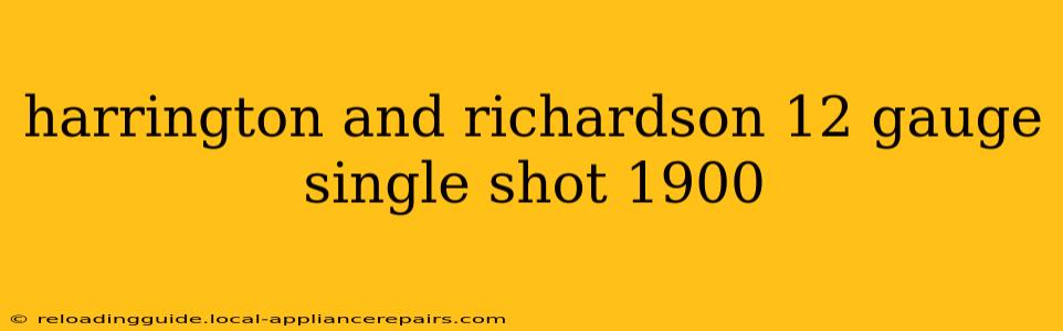 harrington and richardson 12 gauge single shot 1900