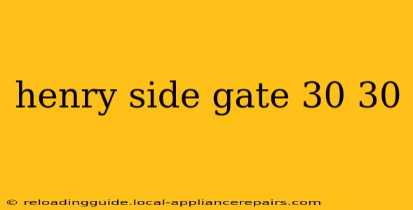 henry side gate 30 30