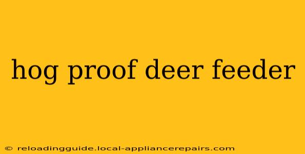 hog proof deer feeder