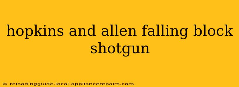 hopkins and allen falling block shotgun