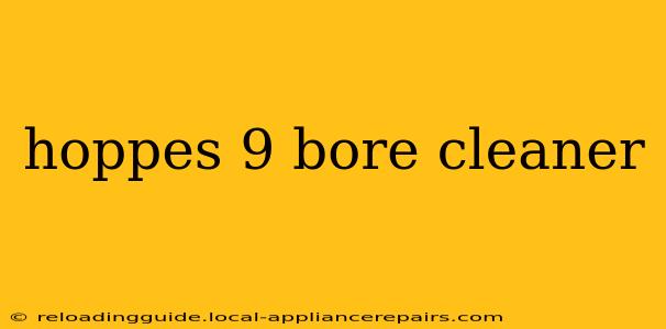 hoppes 9 bore cleaner