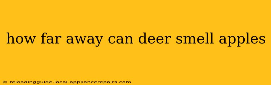 how far away can deer smell apples