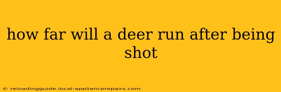 how far will a deer run after being shot