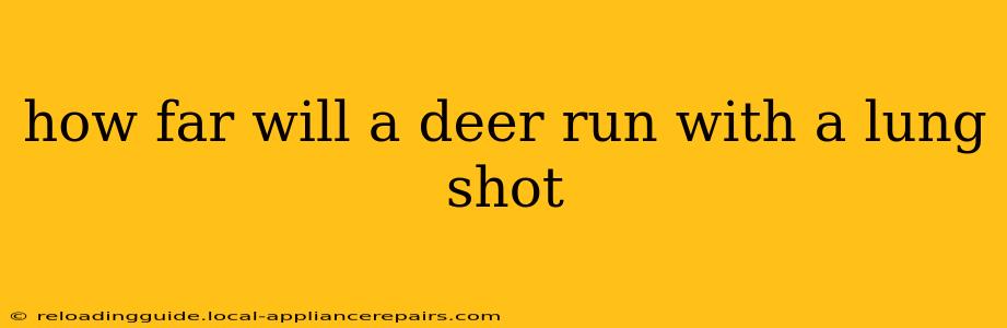 how far will a deer run with a lung shot