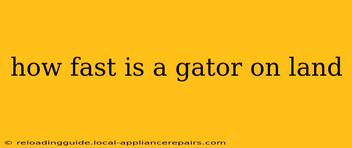 how fast is a gator on land