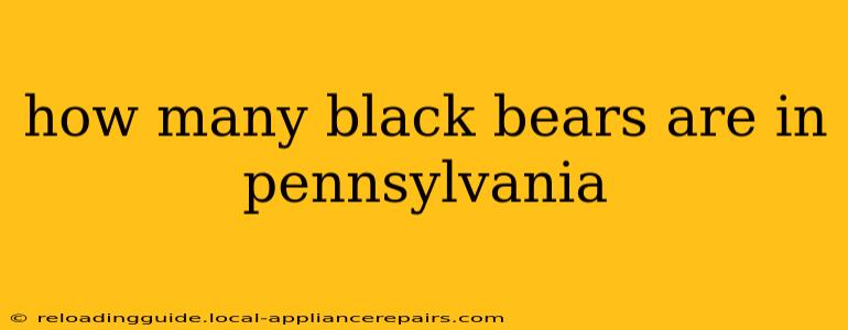 how many black bears are in pennsylvania