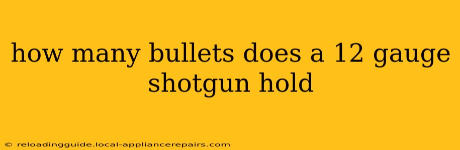 how many bullets does a 12 gauge shotgun hold