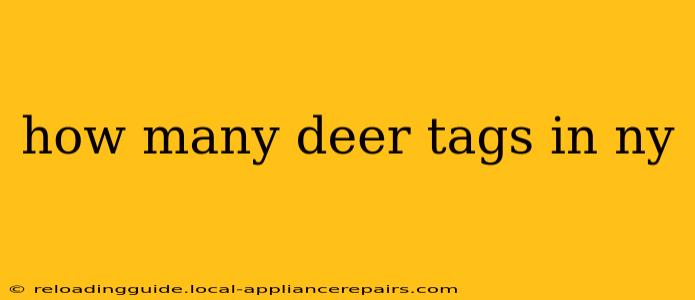 how many deer tags in ny