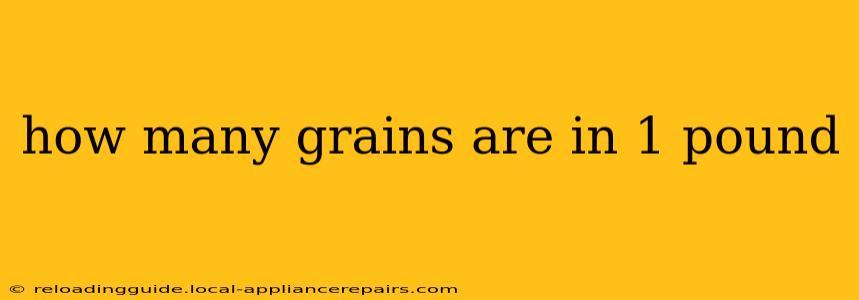 how many grains are in 1 pound