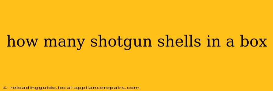 how many shotgun shells in a box