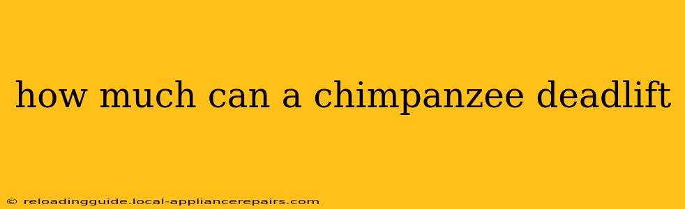 how much can a chimpanzee deadlift