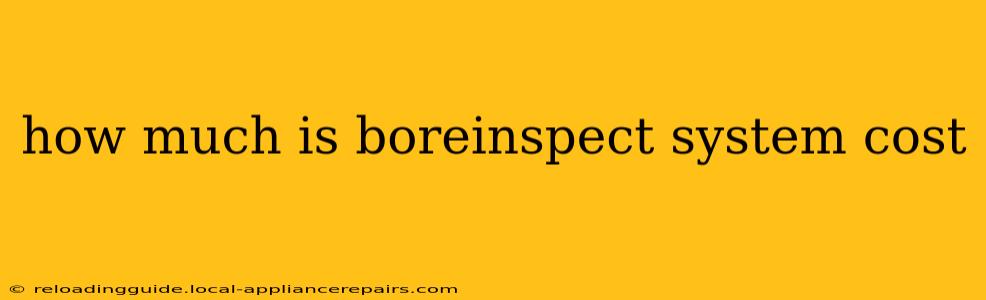 how much is boreinspect system cost