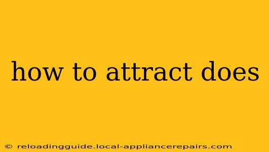 how to attract does