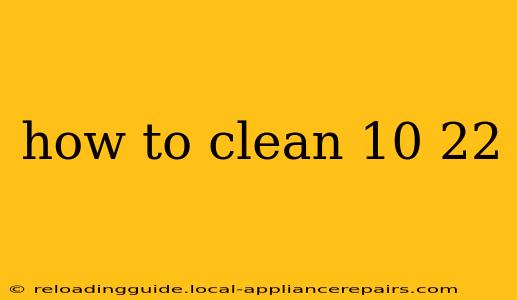 how to clean 10 22