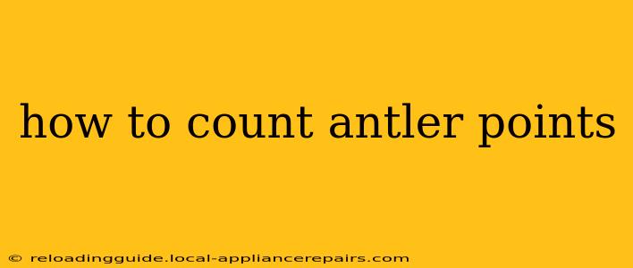 how to count antler points