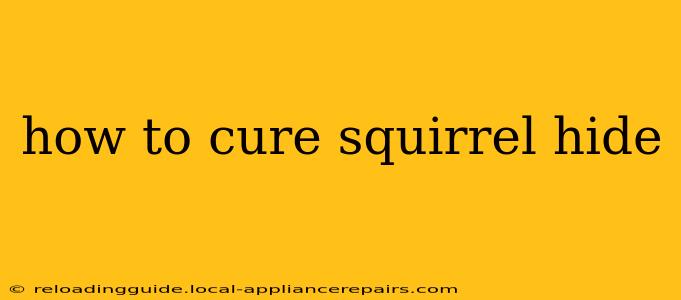 how to cure squirrel hide