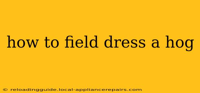 how to field dress a hog