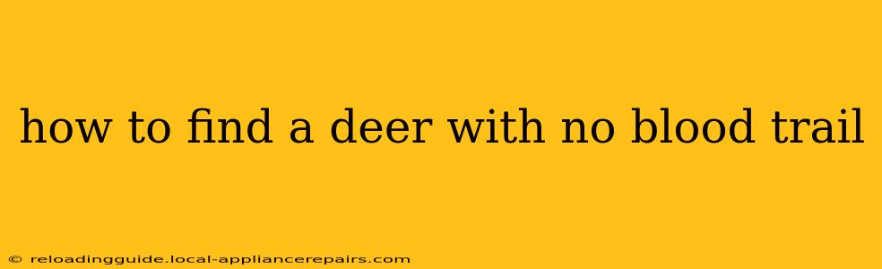 how to find a deer with no blood trail