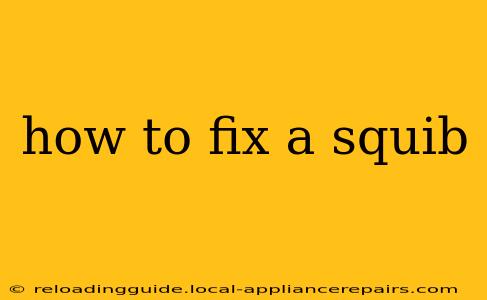 how to fix a squib