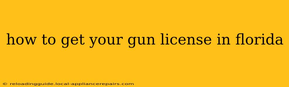 how to get your gun license in florida