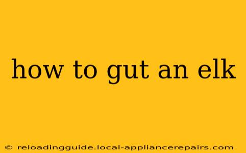 how to gut an elk