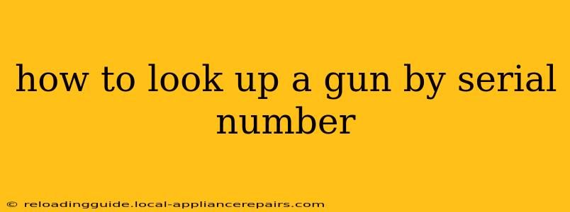 how to look up a gun by serial number