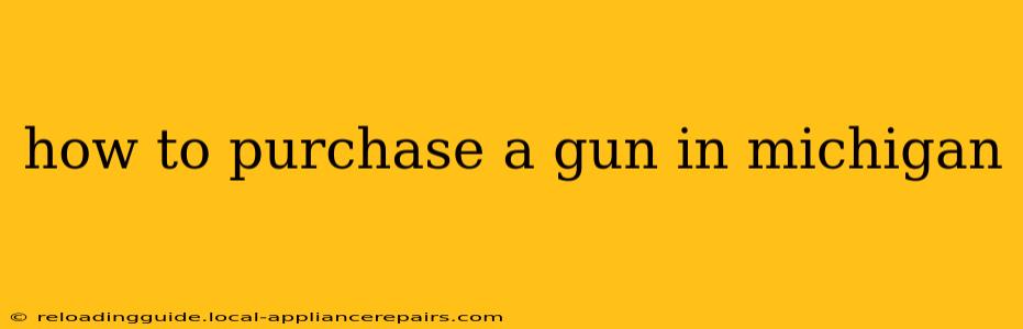 how to purchase a gun in michigan