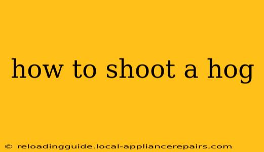 how to shoot a hog