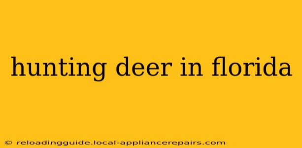 hunting deer in florida