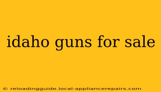 idaho guns for sale