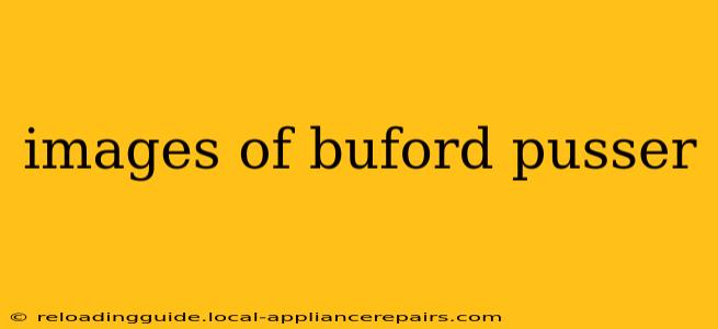 images of buford pusser