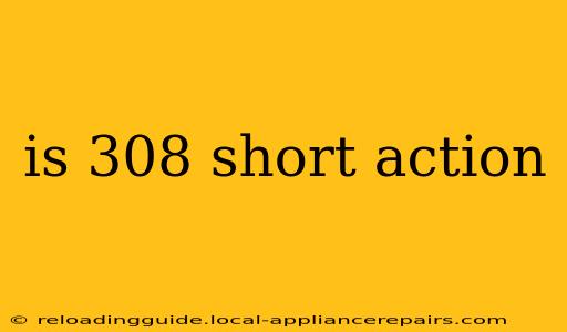 is 308 short action