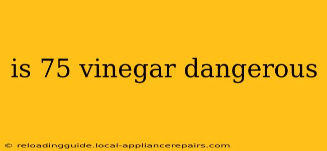 is 75 vinegar dangerous