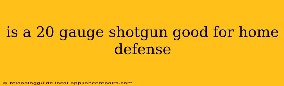 is a 20 gauge shotgun good for home defense