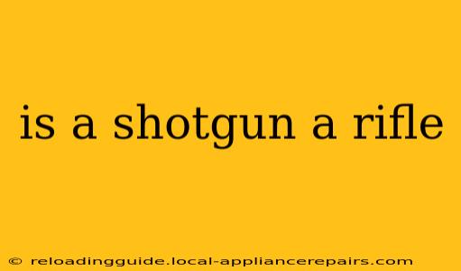 is a shotgun a rifle