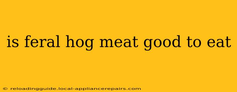 is feral hog meat good to eat