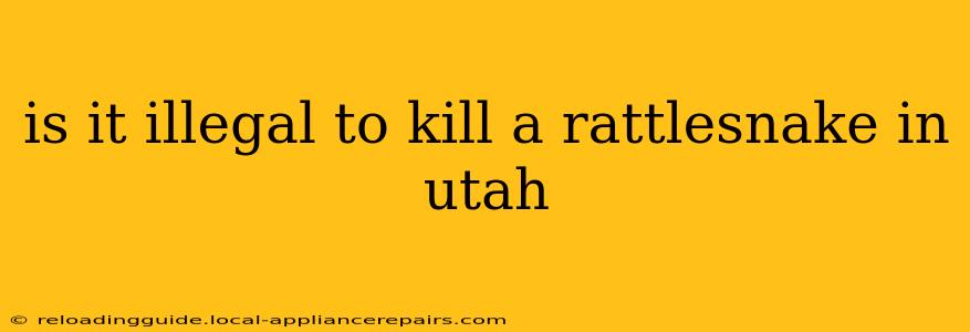 is it illegal to kill a rattlesnake in utah