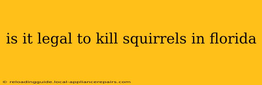 is it legal to kill squirrels in florida