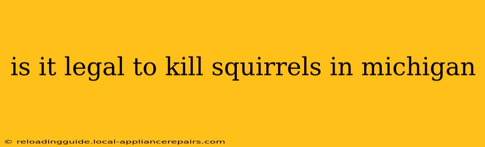 is it legal to kill squirrels in michigan