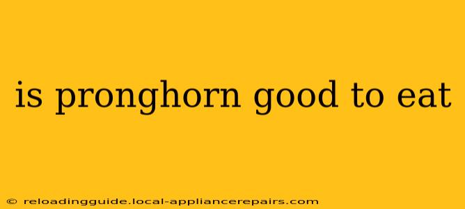 is pronghorn good to eat