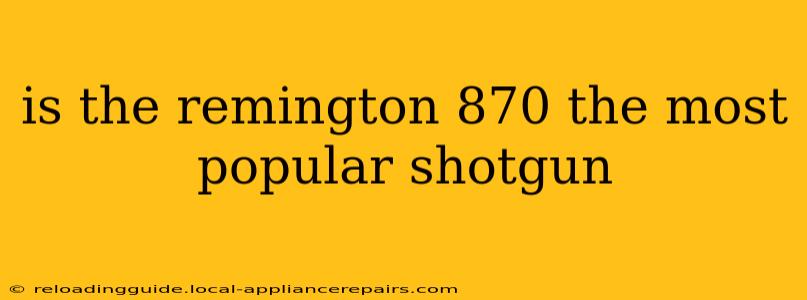 is the remington 870 the most popular shotgun