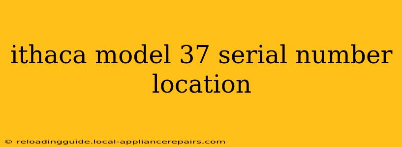 ithaca model 37 serial number location