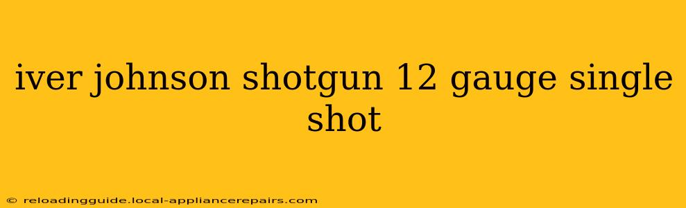 iver johnson shotgun 12 gauge single shot