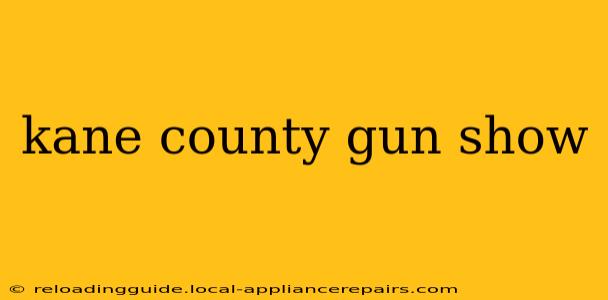 kane county gun show