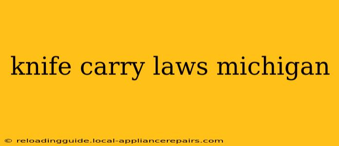 knife carry laws michigan